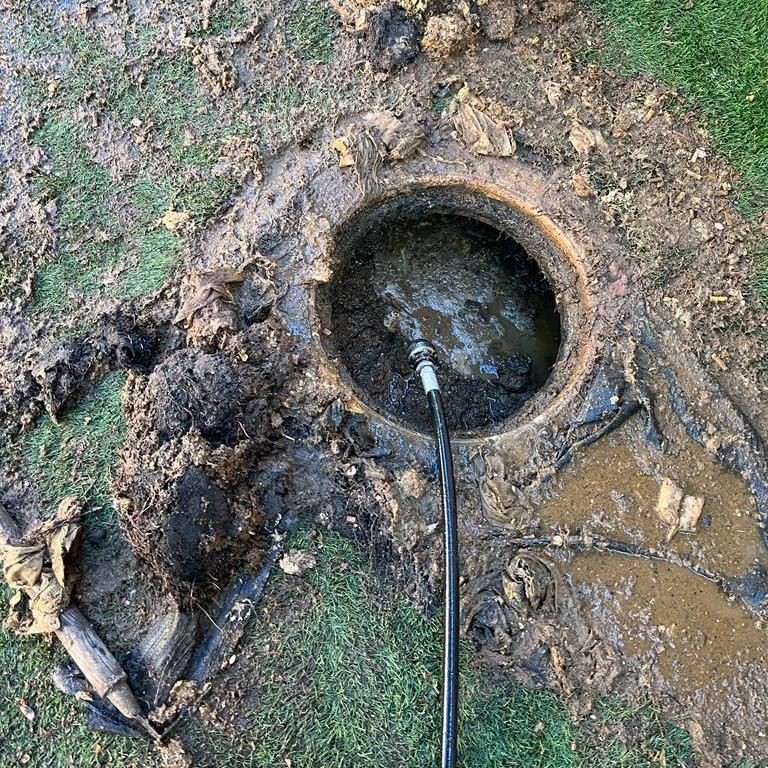 תמונה של WhatsApp‏ 2023-05-08 בשעה 09.17.23