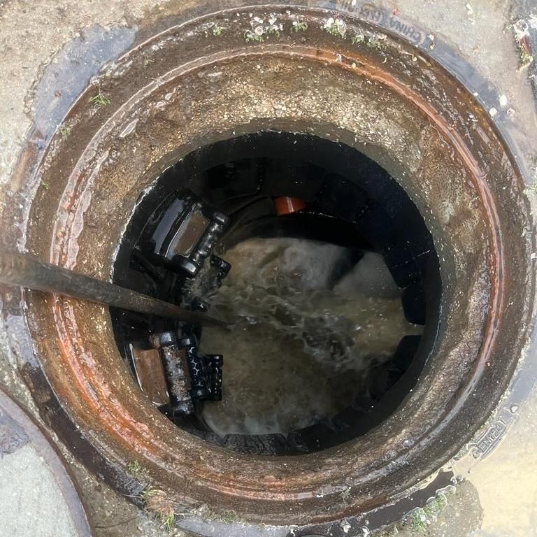 תמונה של WhatsApp‏ 2023-05-08 בשעה 09.17.32