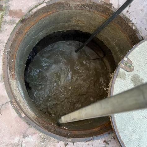 תמונה של WhatsApp‏ 2023-05-08 בשעה 09.17.41