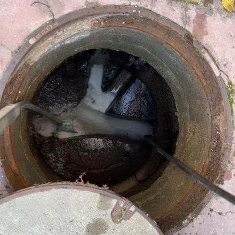 תמונה של WhatsApp‏ 2023-05-08 בשעה 09.17.49