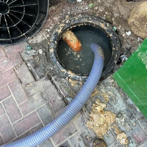 תמונה של WhatsApp‏ 2023-05-08 בשעה 09.18.45