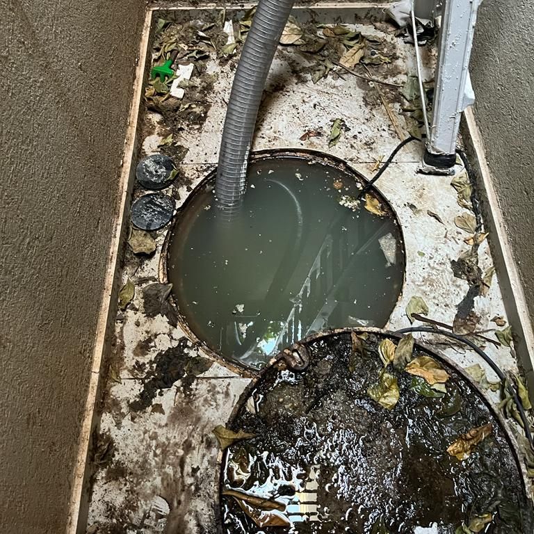 תמונה של WhatsApp‏ 2023-05-08 בשעה 09.18.54