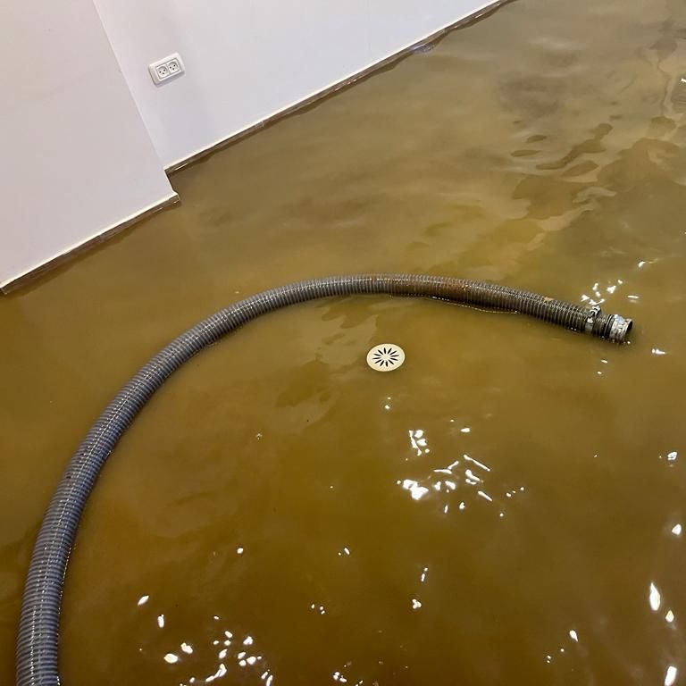 תמונה של WhatsApp‏ 2023-05-08 בשעה 09.19.03