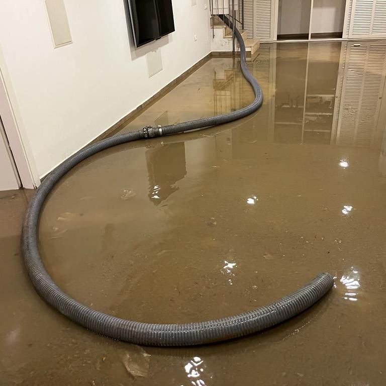 תמונה של WhatsApp‏ 2023-05-08 בשעה 09.19.24