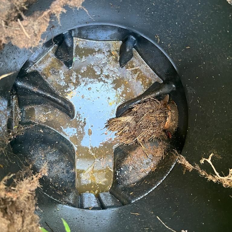 תמונה של WhatsApp‏ 2023-05-08 בשעה 09.19.38