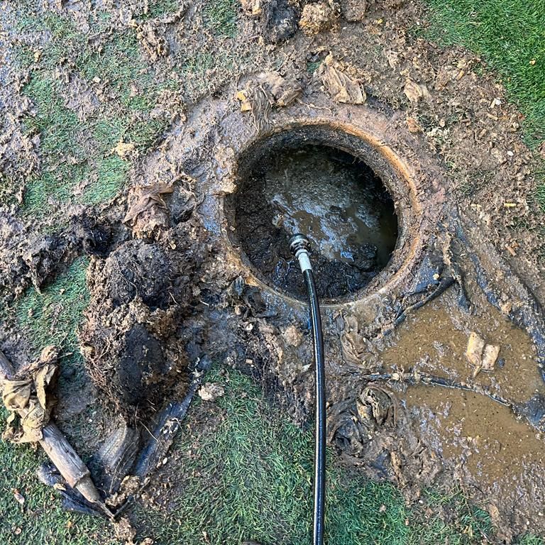 תמונה של WhatsApp‏ 2023-05-08 בשעה 09.19.47