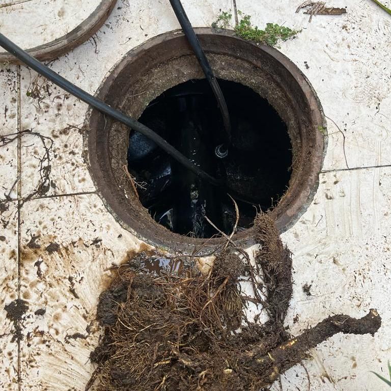 תמונה של WhatsApp‏ 2023-05-08 בשעה 09.19.56