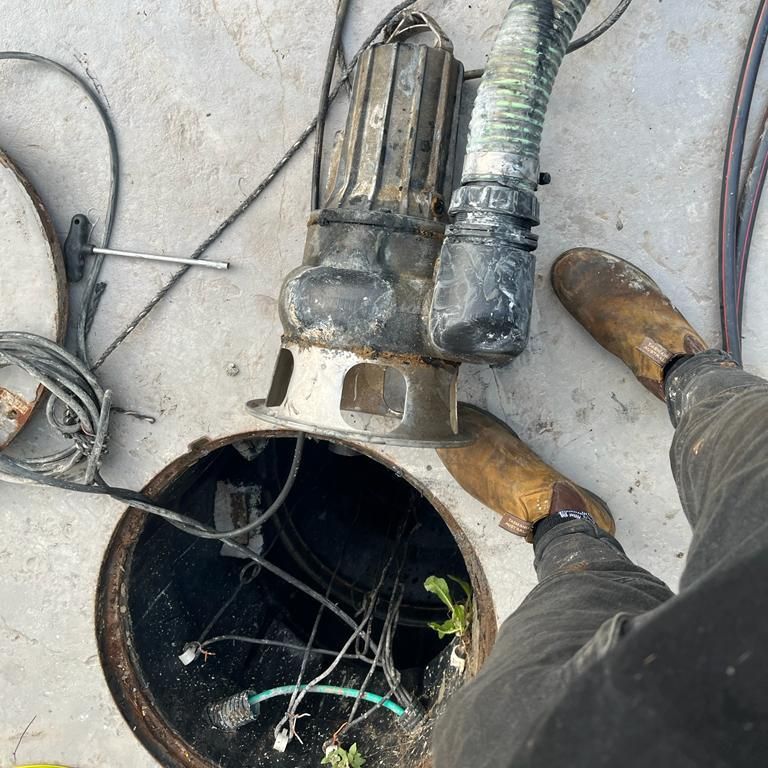 תמונה של WhatsApp‏ 2023-05-08 בשעה 09.20.13