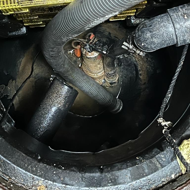 תמונה של WhatsApp‏ 2023-05-08 בשעה 09.20.21